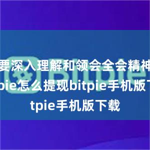 要深入理解和领会全会精神bitpie怎么提现bitpie手机版下载