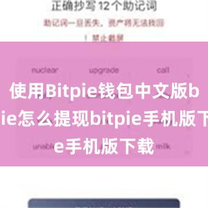 使用Bitpie钱包中文版bitpie怎么提现bitpie手机版下载