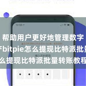 帮助用户更好地管理数字货币资产bitpie怎么提现比特派批量转账教程