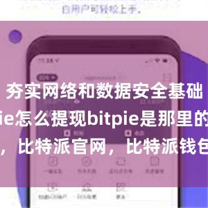 夯实网络和数据安全基础bitpie怎么提现bitpie是那里的，比特派官网，比特派钱包，比特派下载