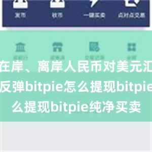 在岸、离岸人民币对美元汇率强势反弹bitpie怎么提现bitpie纯净买卖