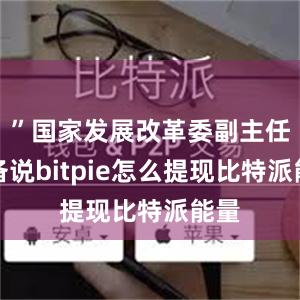 ”国家发展改革委副主任郑备说bitpie怎么提现比特派能量