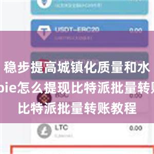 稳步提高城镇化质量和水平bitpie怎么提现比特派批量转账教程