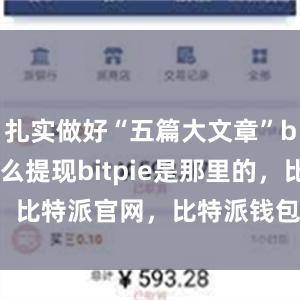 扎实做好“五篇大文章”bitpie怎么提现bitpie是那里的，比特派官网，比特派钱包，比特派下载