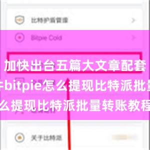 加快出台五篇大文章配套政策文件bitpie怎么提现比特派批量转账教程