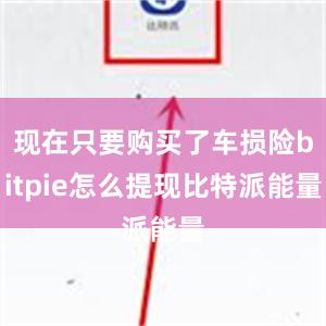 现在只要购买了车损险bitpie怎么提现比特派能量