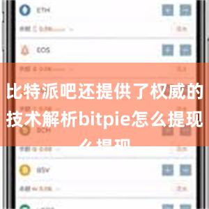 比特派吧还提供了权威的技术解析bitpie怎么提现