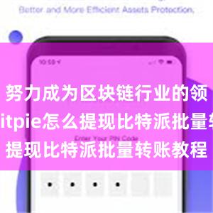 努力成为区块链行业的领军企业bitpie怎么提现比特派批量转账教程