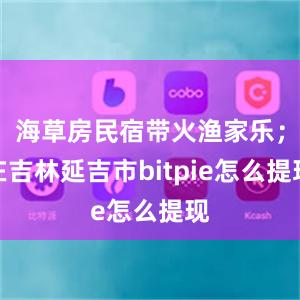 海草房民宿带火渔家乐；在吉林延吉市bitpie怎么提现