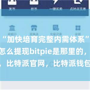 “加快培育完整内需体系”bitpie怎么提现bitpie是那里的，比特派官网，比特派钱包，比特派下载