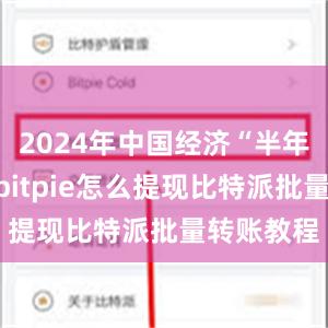 2024年中国经济“半年报”公布bitpie怎么提现比特派批量转账教程