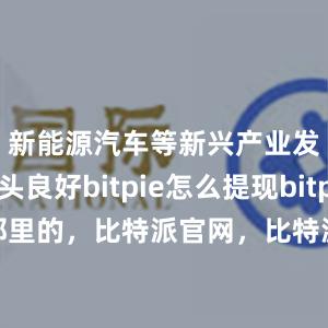 新能源汽车等新兴产业发展势头良好bitpie怎么提现bitpie是那里的，比特派官网，比特派钱包，比特派下载