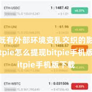 既有外部环境变乱交织的影响bitpie怎么提现bitpie手机版下载